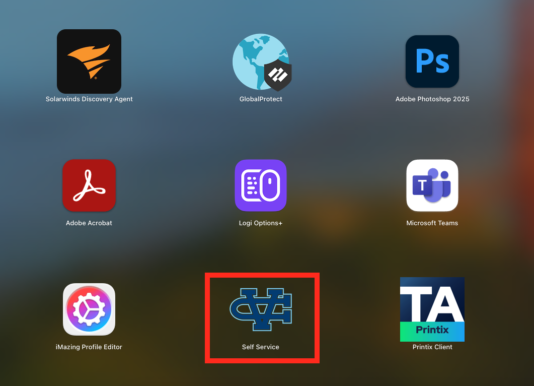 Screenshot 2025-07-23 at 10.40.06 AM.png